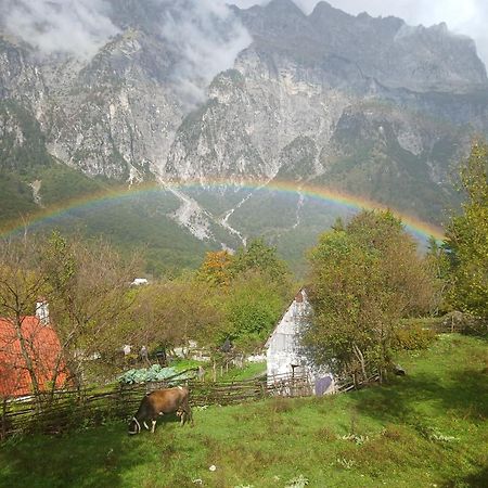 Bujtina Milani Bed & Breakfast Shkoder Bagian luar foto