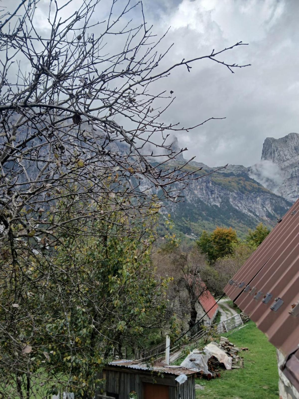 Bujtina Milani Bed & Breakfast Shkoder Bagian luar foto