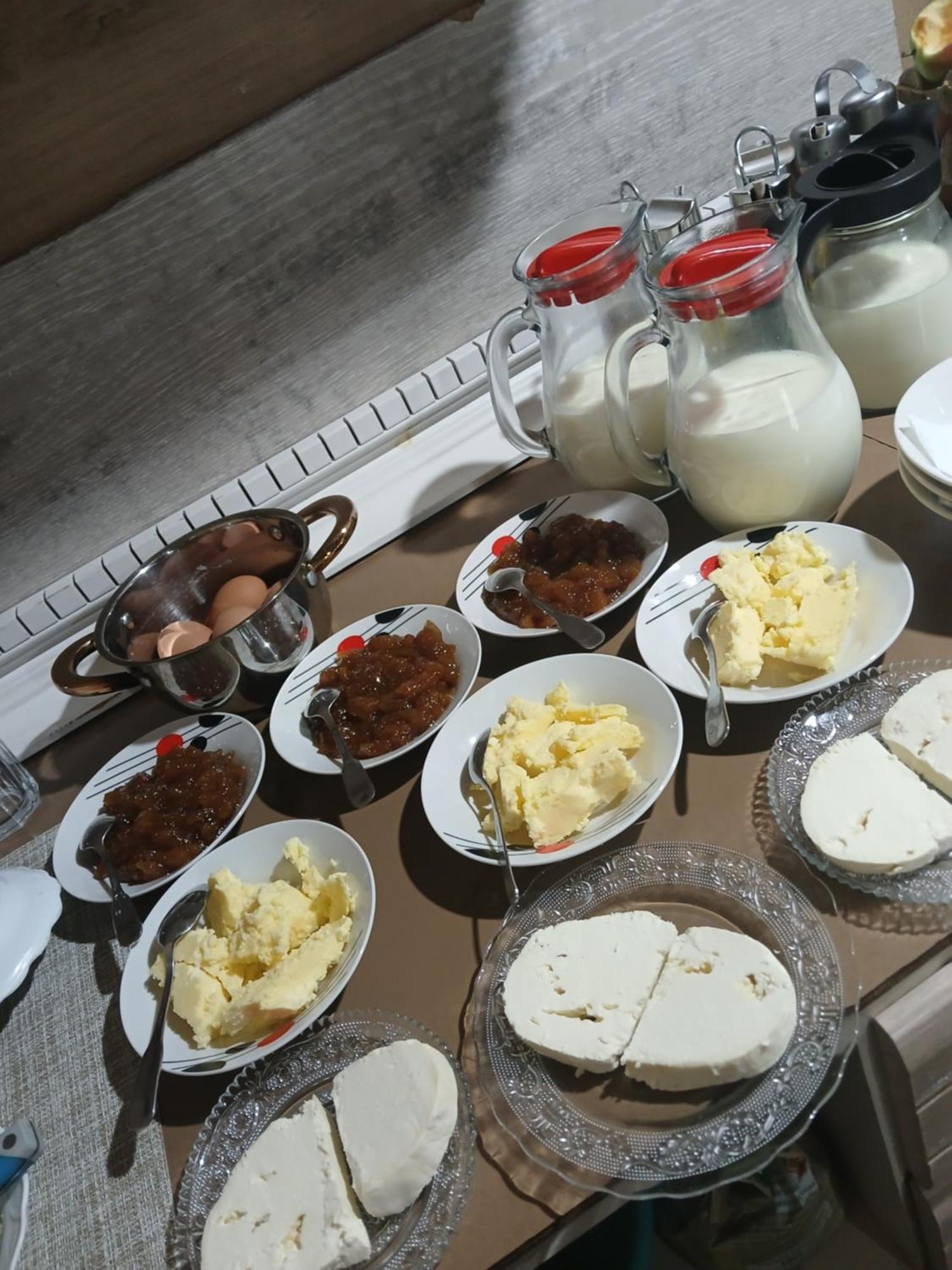 Bujtina Milani Bed & Breakfast Shkoder Bagian luar foto