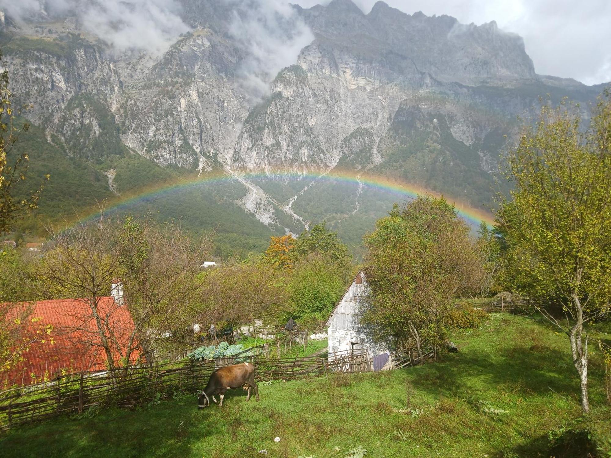Bujtina Milani Bed & Breakfast Shkoder Bagian luar foto